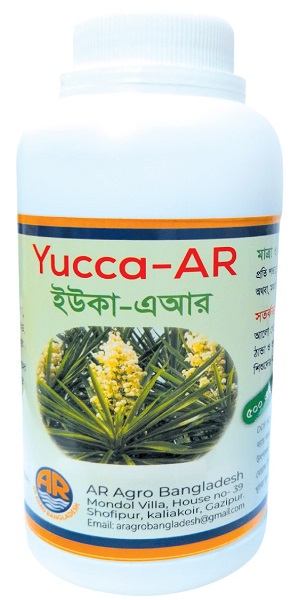 Yucca AR